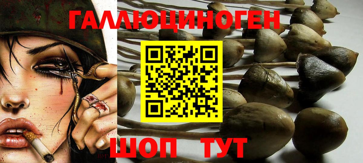 Псилоцибиновые грибы MAGIC MUSHROOMS Петрозаводск
