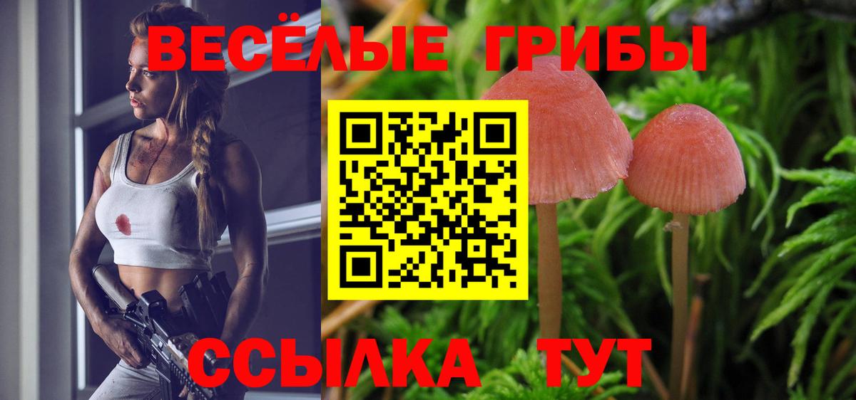 Псилоцибиновые грибы MAGIC MUSHROOMS  цены наркотик  Петрозаводск  Вход с VPN 
