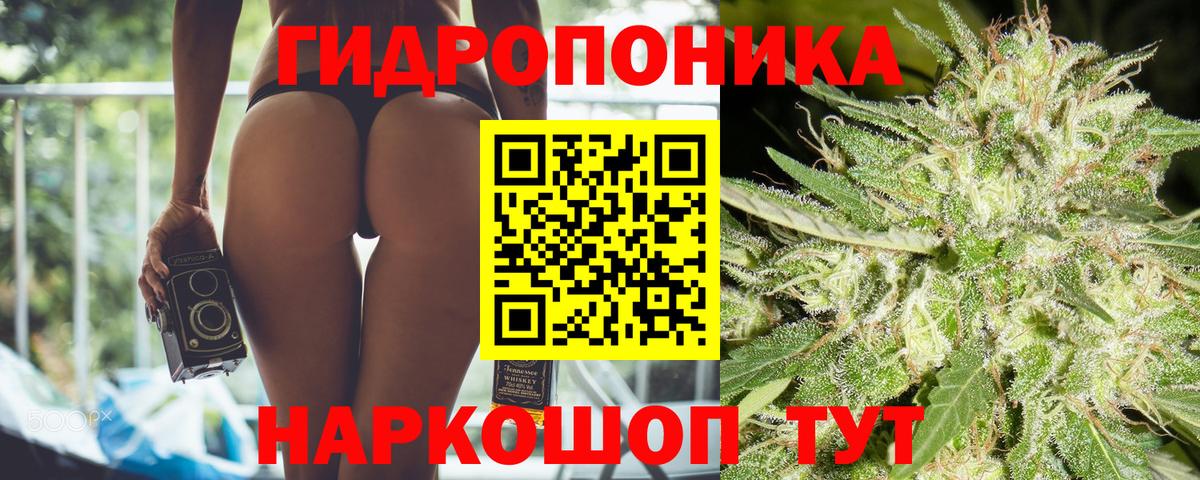 Марихуана сатива Петрозаводск